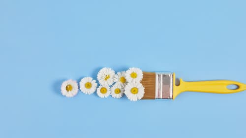Lente in huis & tuin header afbeelding