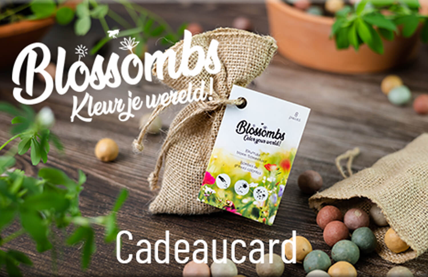 Blossombs Cadeaukaart