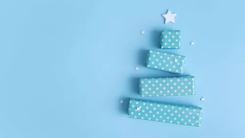 De top 10 feestdagen cadeaus!